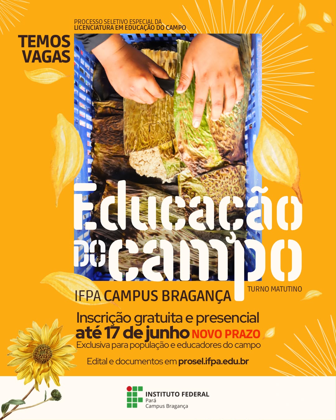 imagem sem descrição.