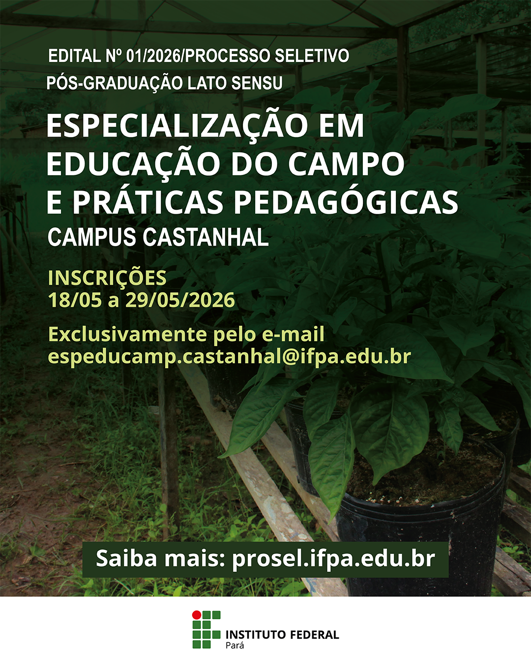 imagem sem descrição.