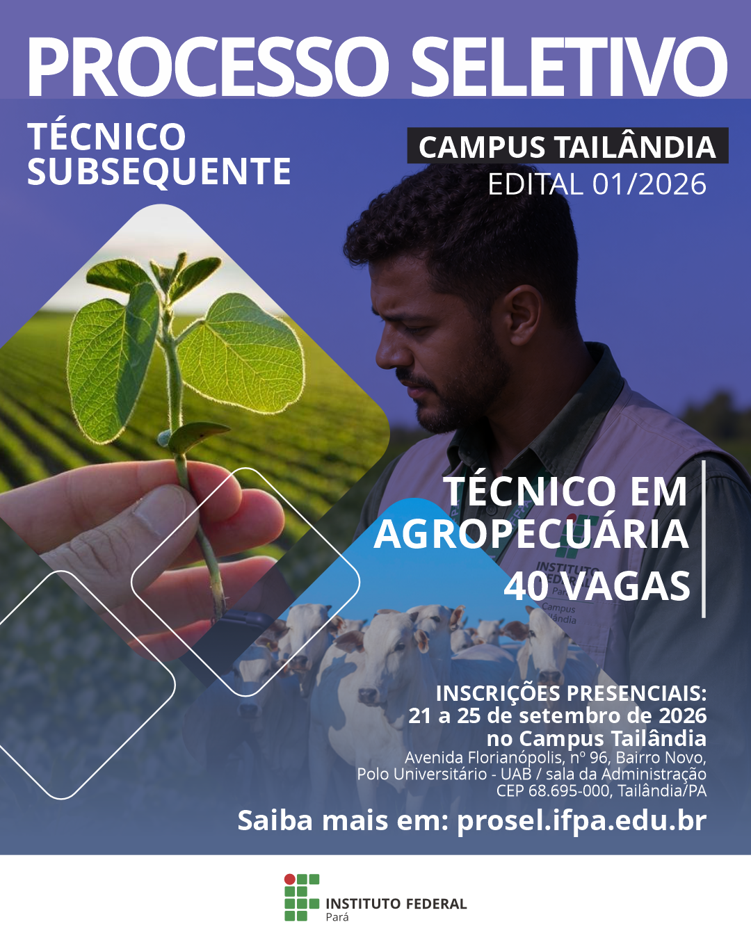 imagem sem descrição.